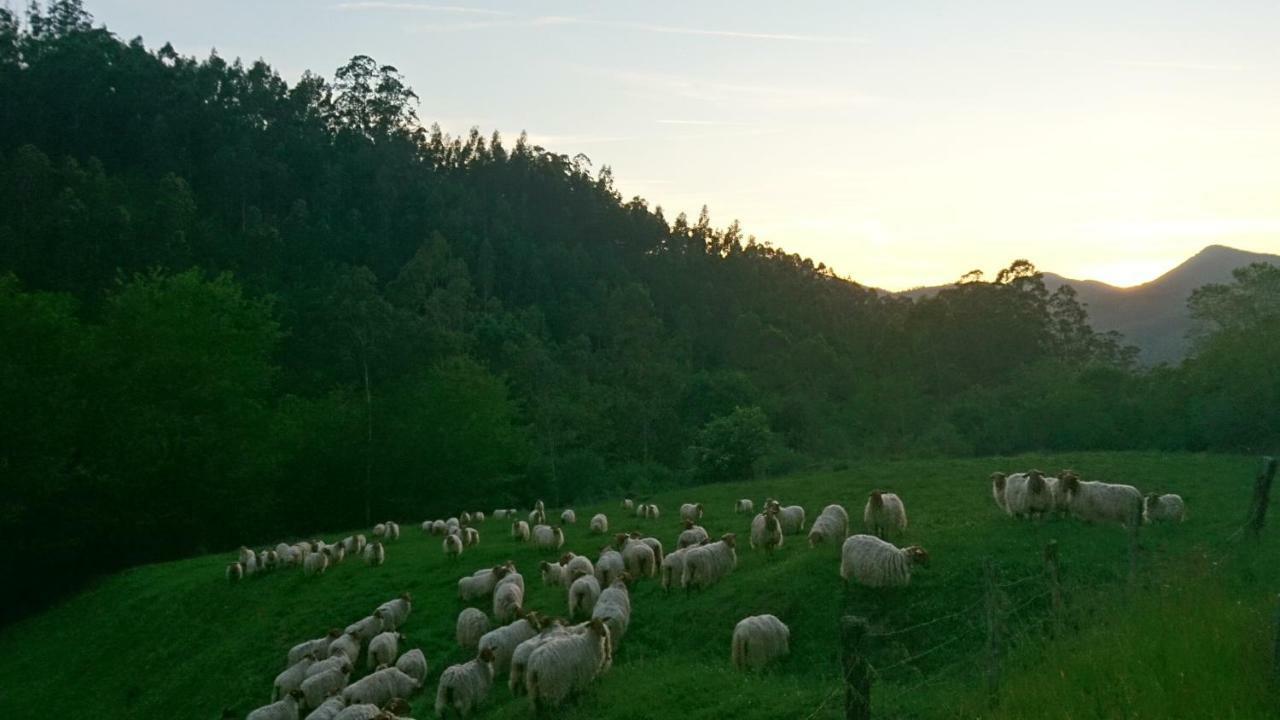 Posada Restaurante Casa Juanchu Adino Zewnętrze zdjęcie