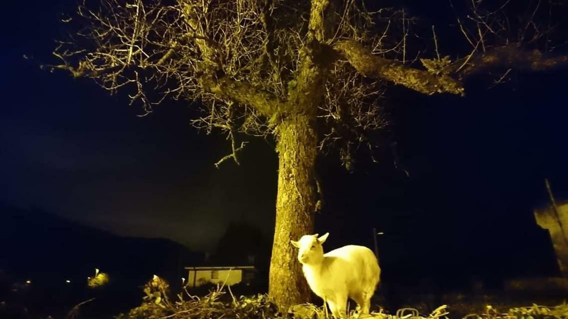 Posada Restaurante Casa Juanchu Adino Zewnętrze zdjęcie